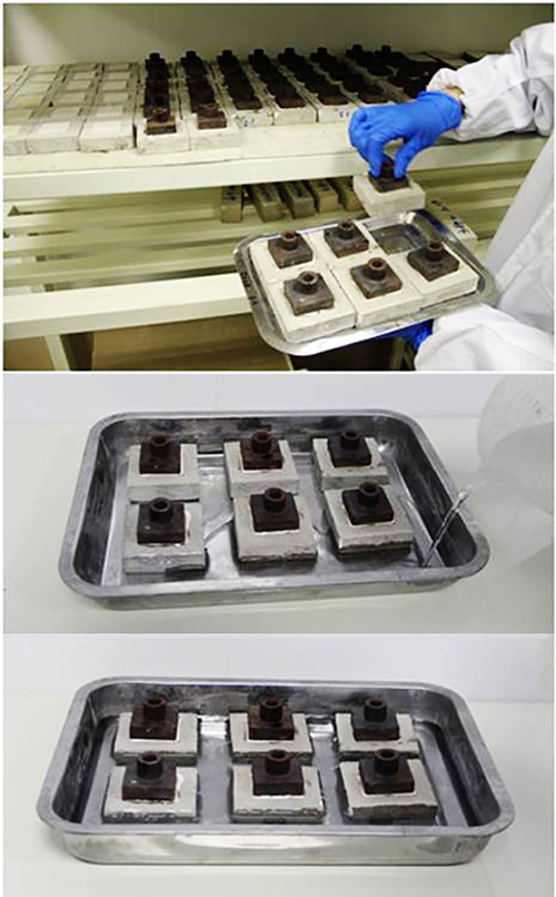 pg电子模拟器(试玩)官方网站 -手机app下载